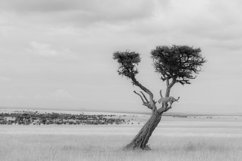AFRICA-in-Blackk-and-white-72