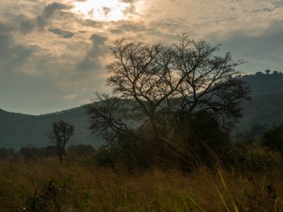 Uganda-2012-1220