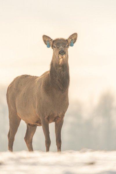 1_Jasper-2021-1488