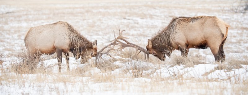 1_Jasper-2021-301-Edit-Edit