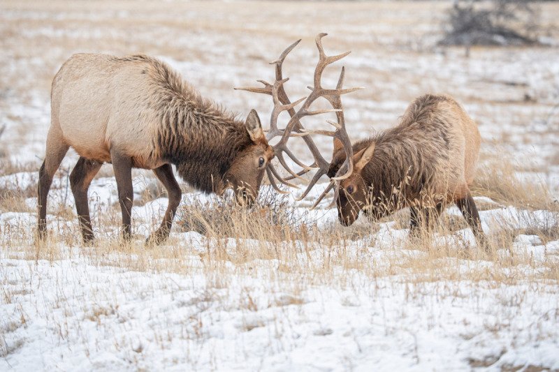1_Jasper-2021-381