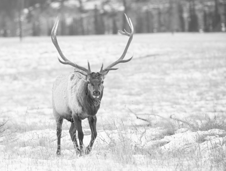 1_Jasper-2021-477-Edit-Edit
