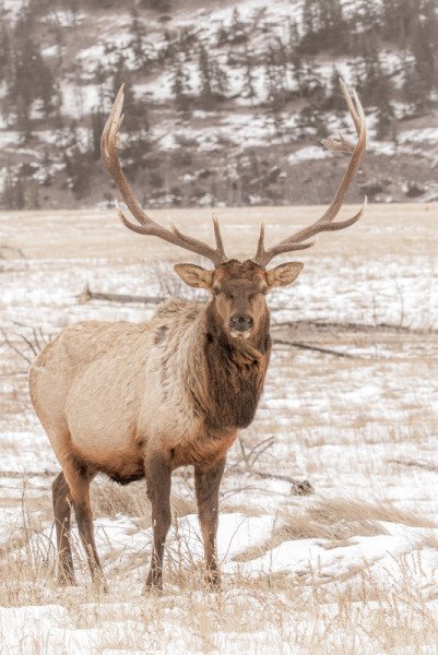 1_Jasper-2021-621