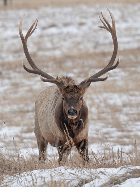 Jasper-2021-405-Edit-Edit