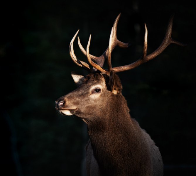 Jasper-Park-2020-5126-Edit