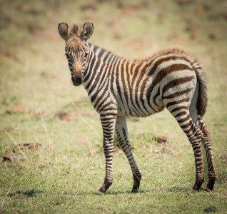 Kenya-2014-8128-Edit