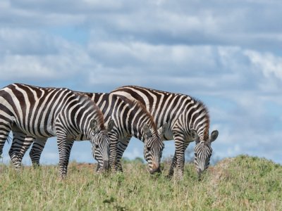 Kenya-2014-84-Edit
