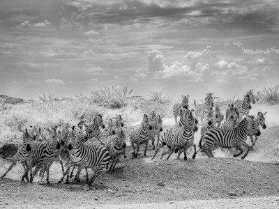 Tansania-2014-13850-Edit-2