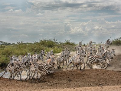Tansania-2014-13850-Edit